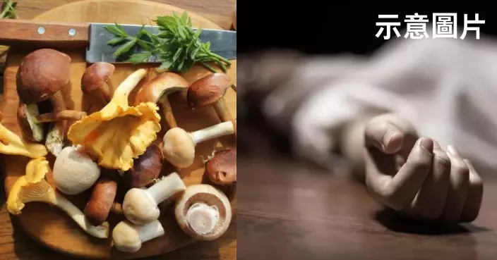 煮咖喱加來歷不明野生菇全家同食 泰女疑中毒口吐白沫送院不治父親命危