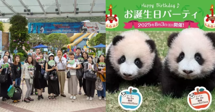 日本熊貓迷組團來港參加「家姐細佬」生日派對 旅發局夥日本旅行社推「大熊貓慶生遊港」團
