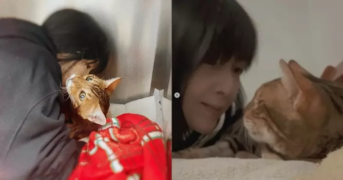 周慧敏愛貓「豬皮」離世　深情告別：你的愛會永遠住在我心裡