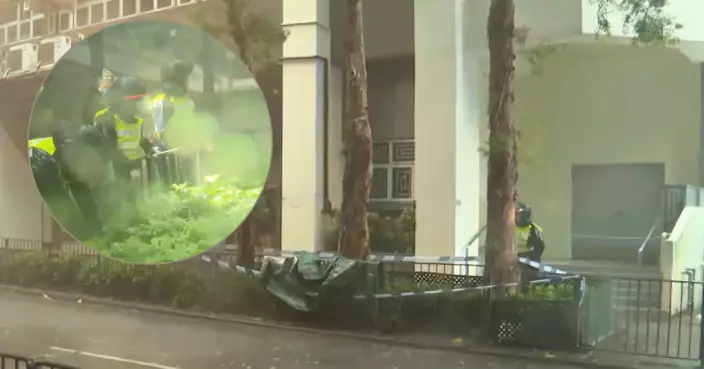 堅尼地道外籍男疑厭世跳樓身亡 疑撞擊力大頭顱進入身體內左腳飛脫