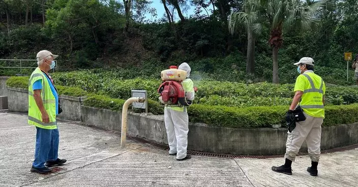 基孔肯雅熱 | 食環署:加強滅蚊防蚊 冀截斷傳播鏈