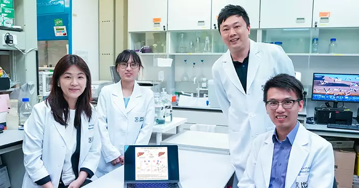 港大醫學院識別肝癌抗藥性關鍵蛋白 研發抑制劑增療效