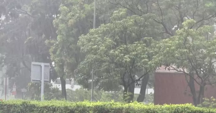 天氣|天文台︰港島南雨量逾200毫米 或引發山泥傾瀉