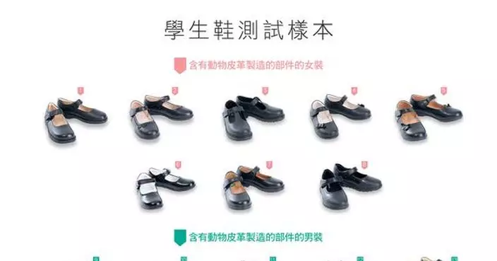 消委會：4 款小學生鞋六價鉻或塑化劑含量超標 最貴Dr.Kong 整體評分最高獲5星