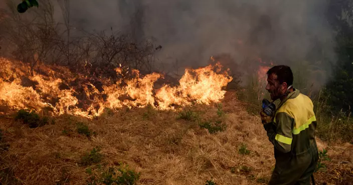 西班牙近日山火4人死亡 葡萄牙一消防員撲救時殉職