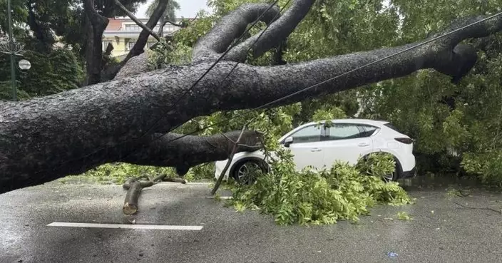 越南遭劍魚吹襲造成7死 多地成災近160萬戶停電