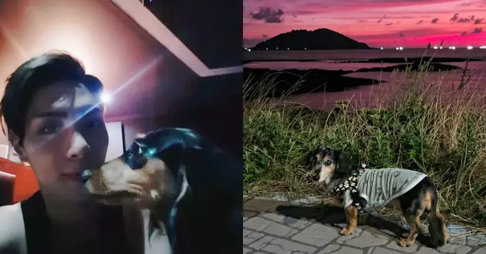 SHINee鐘鉉15歲愛犬離世 粉絲不捨：在天堂和爸爸團聚了