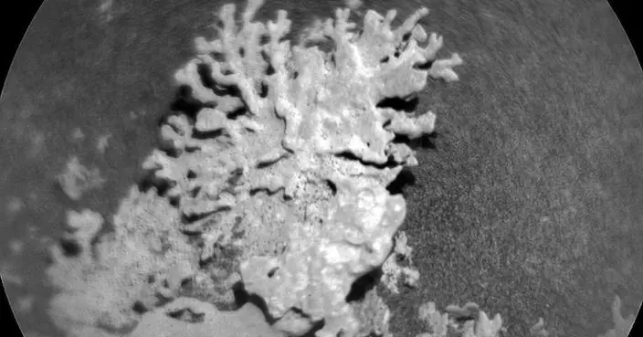 火星驚現珊瑚岩 NASA探測車發現「水痕」力證曾潛藏生命