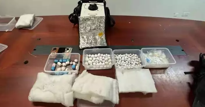 男子白雲機場走私240粒稀有鳥蛋沖入馬桶滅證 海關急救出終孵出37隻