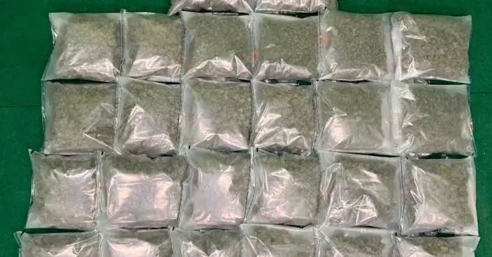 海關機場檢獲約13公斤懷疑大麻花　20歲曼谷抵港男旅客被捕