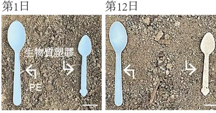 嶺大研發新型環保生物塑膠 29天自然分解減污染