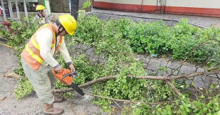 風暴塔巴 | 當局接162宗塌樹報告及3宗水浸個案 12人風暴期間受傷　
