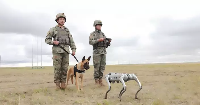 有片！中俄蒙邊防演習 機械犬首次與軍犬並肩受訓