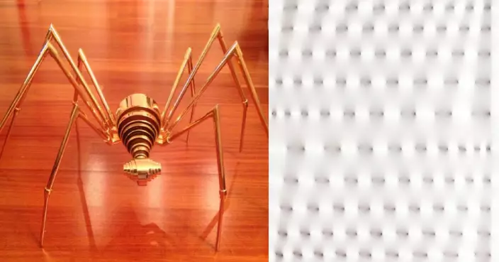 27萬黃金蜘蛛慘遭「斷腿」！女童為畫油畫攀雕塑 意畫廊急加強安保