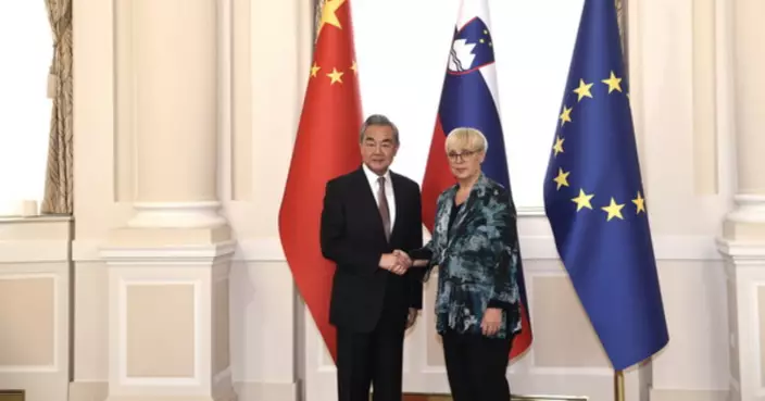 王毅：視中國為伙伴而非對手符合各方利益