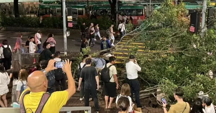 上水港鐵站外有大樹倒塌 壓中4途人一女腳部骨折全部清醒送院