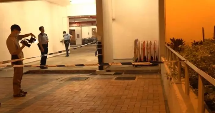 禾輋邨4歲女童意外從高處墮下不治 母親涉虐兒被捕