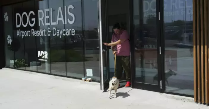 狗狗歎世界！意機場開豪華寵物酒店 獸醫駐場兼按摩一條龍服務