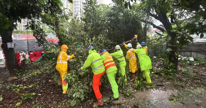 土木工程拓展署調派人手到多地清理塌樹