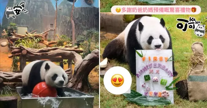 安安可可來港一周年 奶爸奶媽送驚喜禮物齊開P
