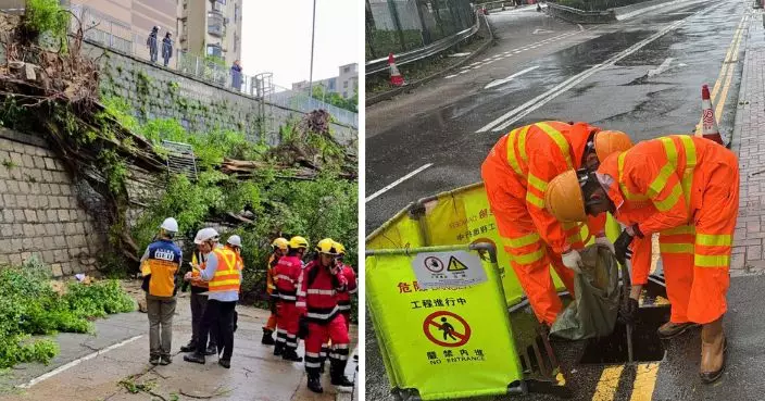 240個容易淤塞地點完成巡查清理 200棵危險樹木移除
