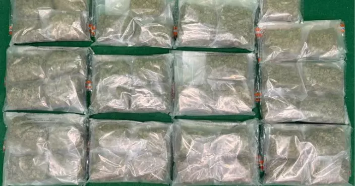 海關連續兩日機場檢共380萬元大麻花 拘兩男一女皆由曼谷抵港