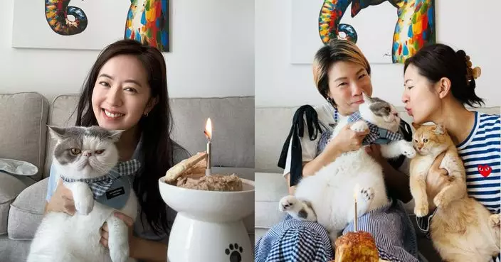 唐詩詠精心佈置生日宴 為愛貓「蛋蛋」慶生
