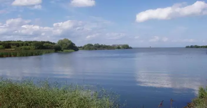 生態警訊！英國最大湖內伊湖毒藻覆蓋 漁業飲用水拉警報