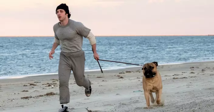 I Play Rocky｜熱血還原史泰龍成名之路 男主角安東尼伊寶利圖劇照逼爆胸肌