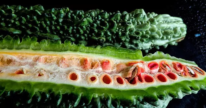 苦瓜最營養部位曝光！「瓜囊」營養價值遠勝瓜肉