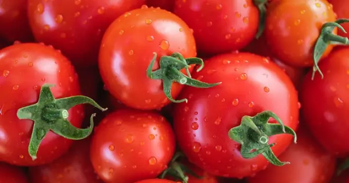 番茄營養豐富功效多 營養師：生熟並食兼具保健與美顏作用