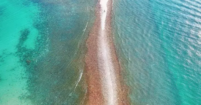 漁護署加派人員巡視西貢橋咀洲 過去幾天無執法數據