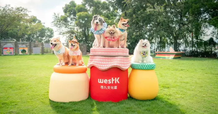 西九寵物區變身「西九寵物俱樂部」 推寵物單車租借服務