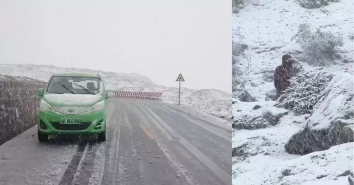 西藏珠峰東坡營地暴雪阻塞道路近千人被困景區封閉