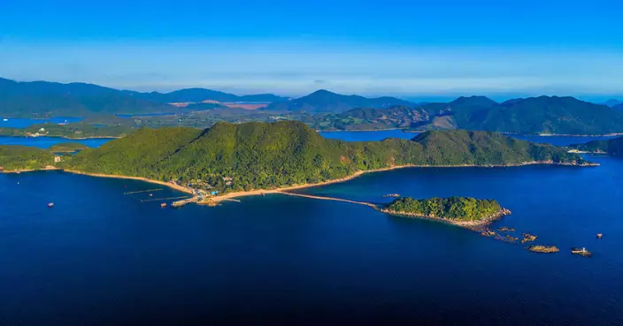 橋咀洲有遊客捕捉海洋生物放膠袋 受訪時稱準備放回海上