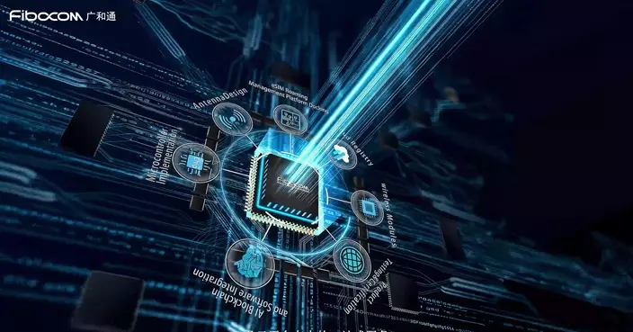 廣和通IPO以上限定價