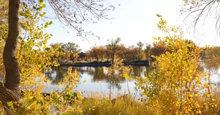 外交公署偕領事商界訪新疆 喀什賞戈壁裡的江南 自貿區看區域經濟發展