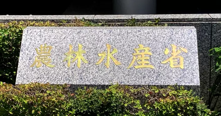 日本爆發本季首宗禽流感疫情 北海道家禽農場中招