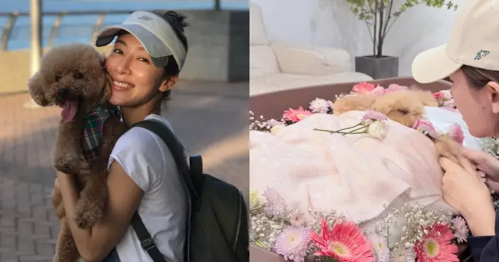 楊茜堯2愛犬相繼離世 遺憾未能做最後告別：我們夢中見