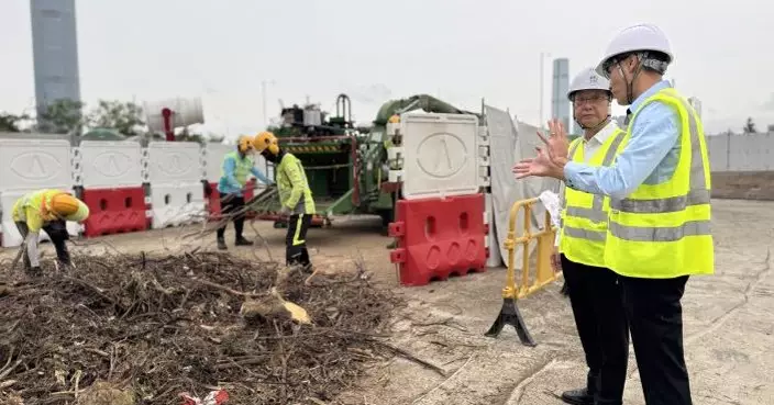 環保署試行「樹木臨時處理點」　樺加沙襲港塌樹物料篩選410公噸回收再造