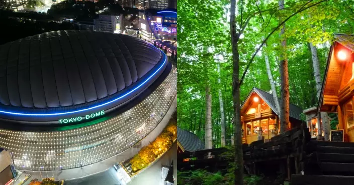 外資狂買日本森林 面積達81個東京巨蛋 北海道成首選！​​