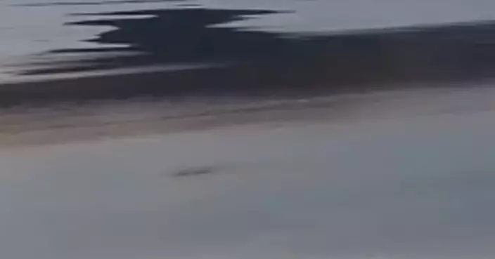 尼斯湖水怪傳說再起？ 愛爾蘭獵人攝5米黑影掀全球熱議​