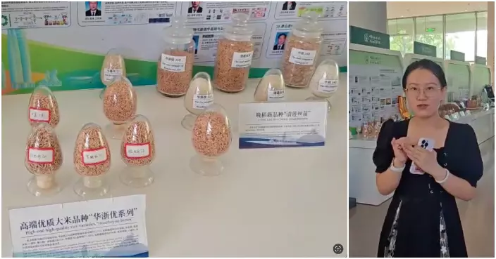 海南行｜「南繁矽谷」發展農業科技  海南種子實驗室做出農業「芯片」自主可控