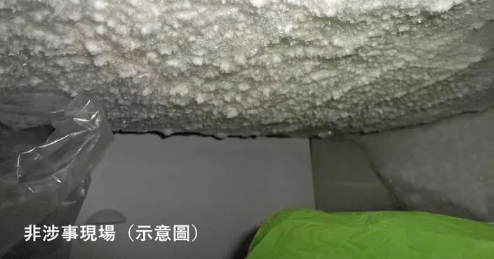 日本茨城7旬母突自首 警方揭家中冷凍庫藏長女遺體逾20年