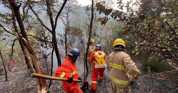 消防處重陽節特別部署  設高級指揮室加強協調應對山火