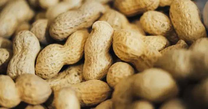 改變百年育兒觀念 研究稱：建議嬰兒4個月大接觸花生助6萬兒童避過敏