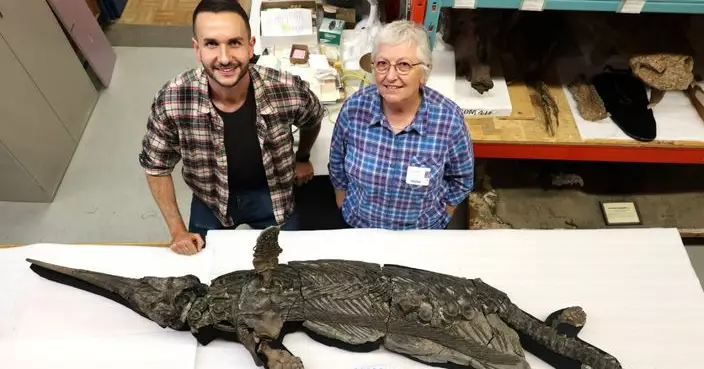 英侏羅紀海岸出土1.9億年前完整魚龍化石 獲認證填補演化史空白