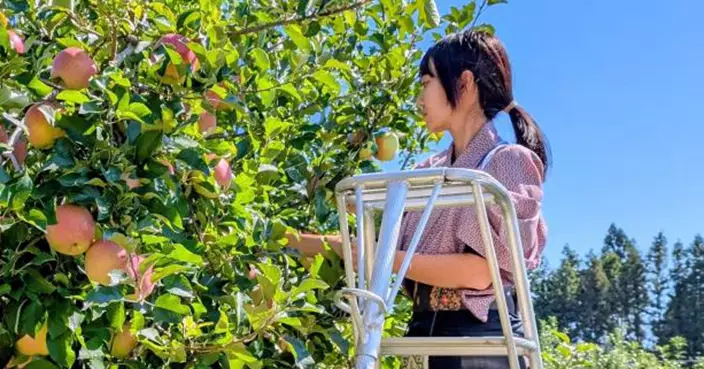 解決農缺、滿足旅客！日本「Otetsutabi」創雙贏旅遊新模式
