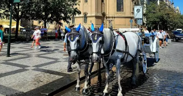 達達馬蹄成絕響！布拉格為護古蹟與動物 下令禁止市中心觀光馬車