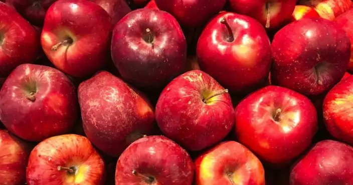 專家拆解蘋果6養生功效 不同體質配7款食療最有效